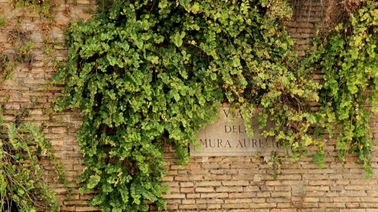 Appartement Vista San Pietro à Rome Extérieur photo
